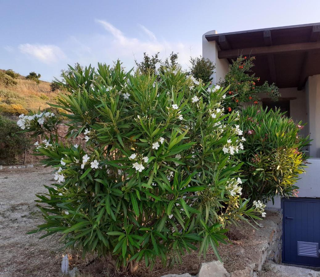 Katoikia Spathi Spathi  Exterior foto
